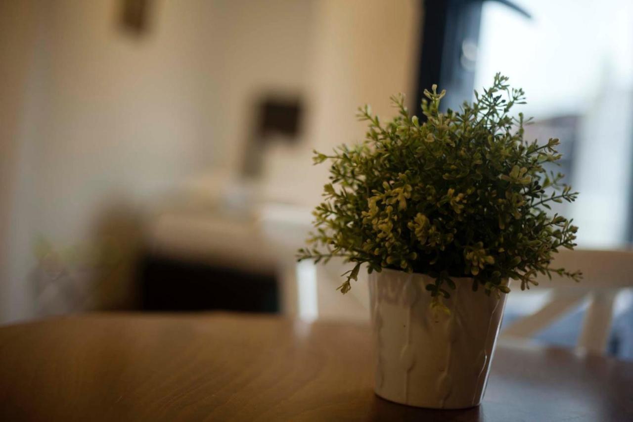 Galata Cicek Suites İstanbul Dış mekan fotoğraf